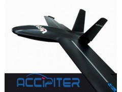 Accipiter