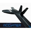 Accipiter