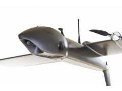 Avian-S  Real-time Surveillance