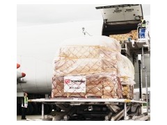 Reliability and Speed for your Air Freight
