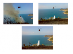 Forest Fire Fighting with Helicopters