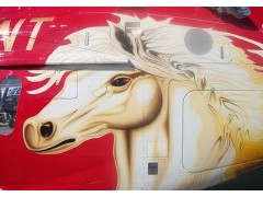 Painting Service