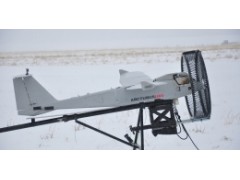 T-20
