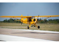Tailwheel training