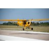 Tailwheel training
