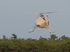 DP-5X WASP