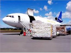 Cargo Services