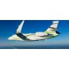 VIP Charters