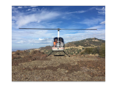 Professional Pilot Program