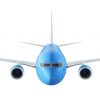 Commercial Pilot Certificate