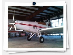 Private Pilot license