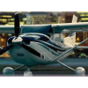 Commercial Pilot