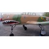 1987 Nanchang CJ-6A