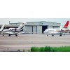 Aircraft Maintenance