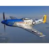 1945 NORTH AMERICAN P-51 MUSTANG