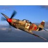 YAKOVLEV YAK 9-UM