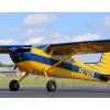 1979 CESSNA 180
