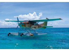 1967 CESSNA U206 SUPER SKYWAGON