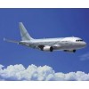 2011 AIRBUS ACJ318