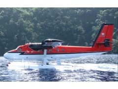 Twin Otter (DHC6)