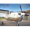 1981 CESSNA P210N