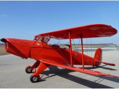 Bücker 131