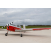 Chipmunk 22