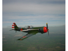 YAK 50