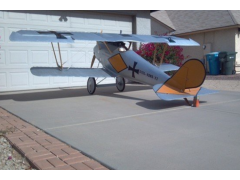 Pfalz D.III