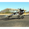 Albatros C.III