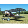 Siemens Schukert D.III