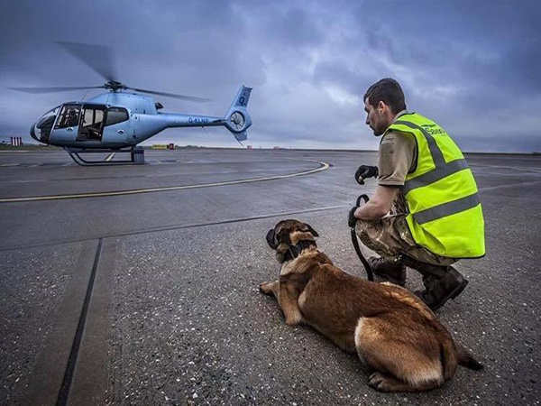 Saxo<em></em>nAir with animals to save animals