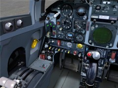 FS3000 Two-Seat Flight Simulator